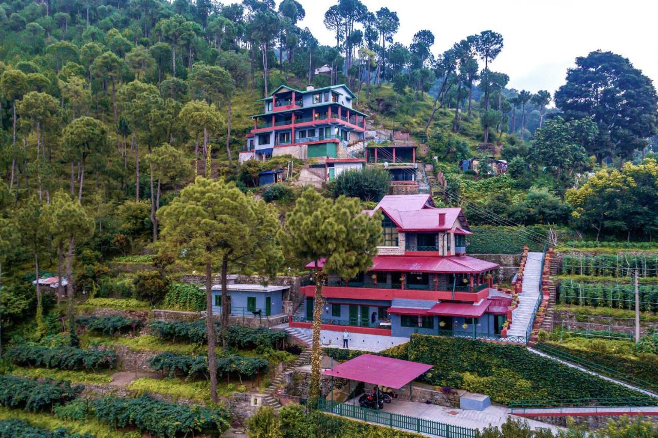Stayvista At Cecil Cottages With Barbeque, Hill View Kasauli Eksteriør bilde
