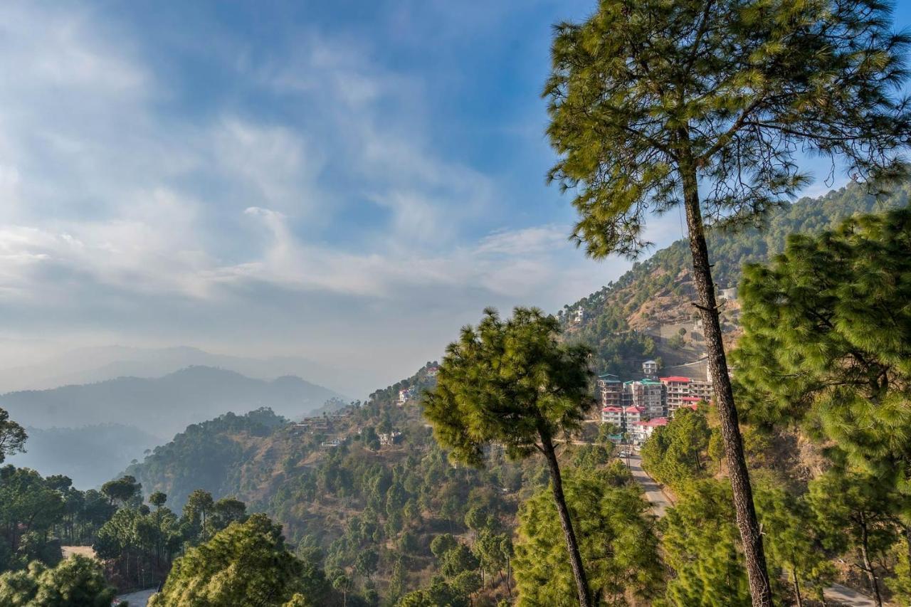 Stayvista At Cecil Cottages Hill View 8Br, 6Br, 4Br, 2Br In Barog With Barbeque Kasauli Eksteriør bilde
