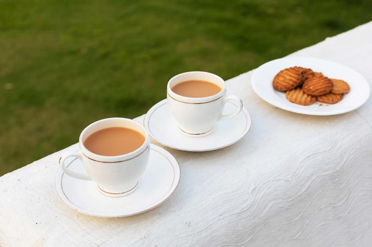 Stayvista At Cecil Cottages With Barbeque, Hill View Kasauli Eksteriør bilde